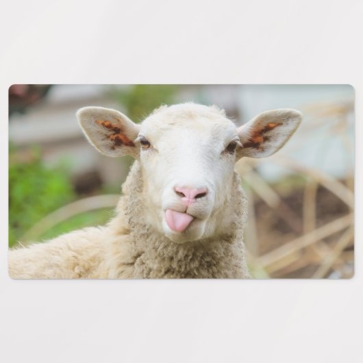 Schapentong show labels (Design 2)