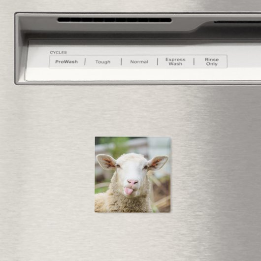 Schapentong show magneet (Insitu (Vaatwasser))