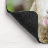 Schapentong show muismat (Hoek)