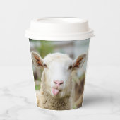 Schapentong show papieren bekers (Voorkant)