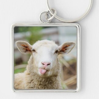 Schapentong show sleutelhanger