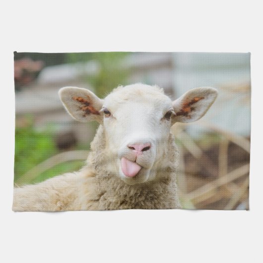 Schapentong show theedoek (Horizontaal)