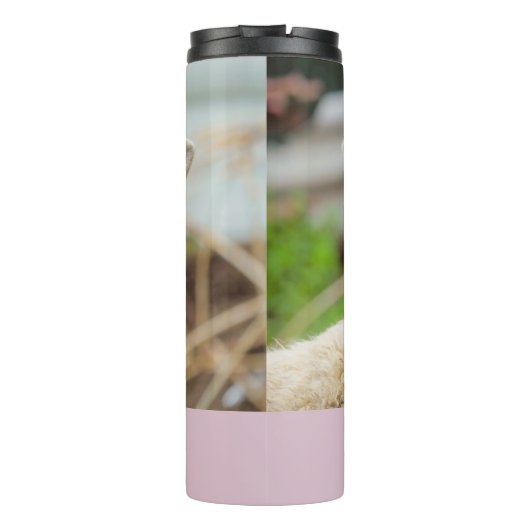 Schapentong show thermosbeker (Achterkant)