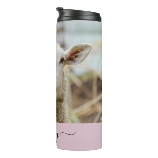 Schapentong show thermosbeker (Geroteerd rechts)