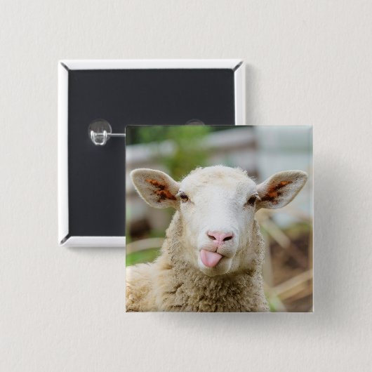 Schapentong show vierkante button 5,1 cm (Voorkant /achterkant)