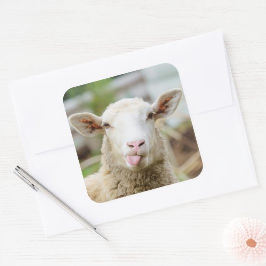 Schapentong show vierkante sticker (Envelop)