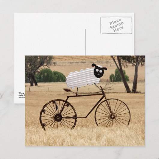 Schapentrellen Briefkaart (Voorkant / Achterkant)