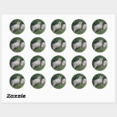 Schapenvlees dat eet, laat de stickers vallen (Vel)