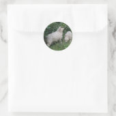 Schapenvlees dat eet, laat de stickers vallen (Tas)