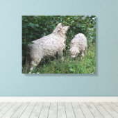 Schapenvormers met schottendoek afdrukken (Insitu (Houten vloer))