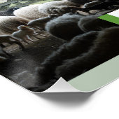 Schapenvoud met Poster van het lam-plein (Hoek)