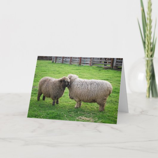 Schapenvrienden Kaart (Voorkant)