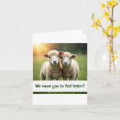Schapenvrienden krijgen goede Kaart (Gele Bloem)