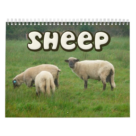 Schapenwand Agenda Kalender (Hoes)