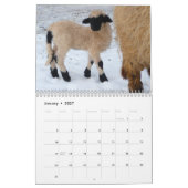 Schapenwand Agenda Kalender (Jan 2027)