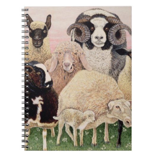 Schapenwerven - Schrappen Notitieboek (Voorkant)