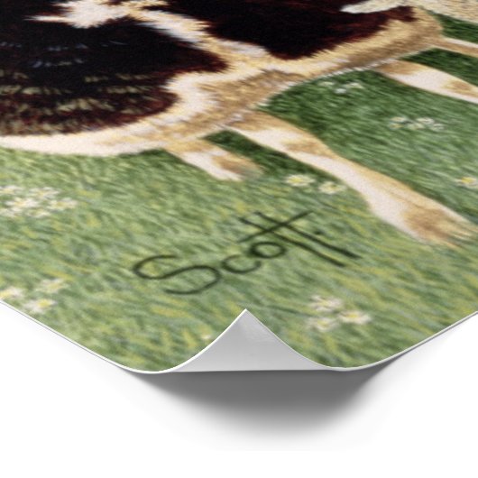 Schapenwerven - Schrappen Poster (Hoek)