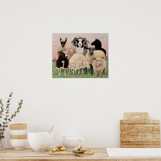 Schapenwerven - Schrappen Poster (Keuken)