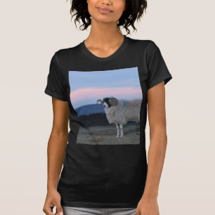 Schapenzwart, uitgerust met dames in tee Shirt