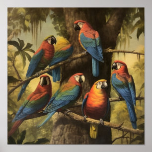 Scharlaken Ara Natuurstudie Diepe Jungle Botanisch Poster