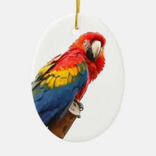 Scharlaken Ara Ovale Versiering Keramisch Ornament