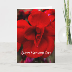 Scharlaken Begonia's Kaart