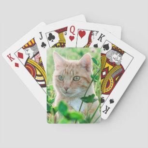 Scharlaken Kat met Groene Ogen in Gras Pokerkaarten