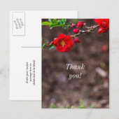 Scharlaken Top Dank je Briefkaart (Voorkant / Achterkant)