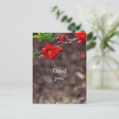Scharlaken Top Dank je Briefkaart (Staand voorkant)