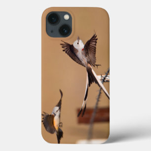 Scharnierende vliegers (Tyrannus Forficatus) iPhone 13 Hoesje