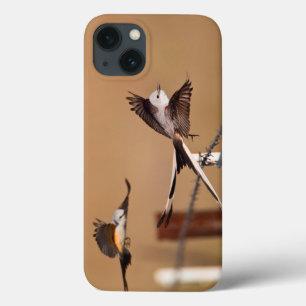 Scharnierende vliegers (Tyrannus Forficatus) iPhone 13 Hoesje
