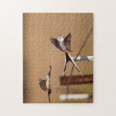 Scharnierende vliegers (Tyrannus Forficatus) Legpuzzel (Verticaal)