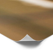 Scharnierende vliegers (Tyrannus Forficatus) Poster (Hoek)