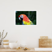 scharniergrens poster (Keuken)