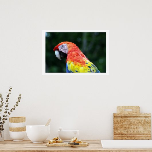 scharniergrens poster (Keuken)