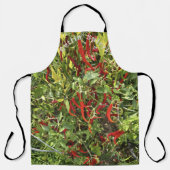 Scharrel Apron Schort (Voorkant)
