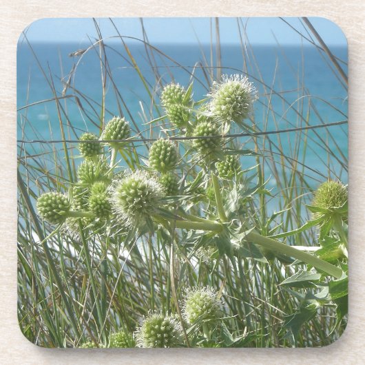 scharrelen drankjes onderzetter (Voorkant)