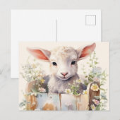 Scharrelende Schaap in een Doosje Briefkaart (Voorkant / Achterkant)