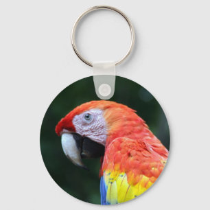scharrelkop sleutelhanger