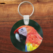 scharrelkop sleutelhanger (Voorkant)