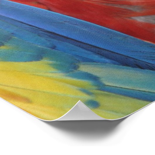 scharrelvoet poster (Hoek)