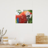 scharrelvoet poster (Keuken)