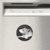 Scharrrelende rat schilderij magneet (Insitu (Vaatwasser))