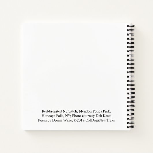 Schat elk wonder - Vogel Notitieboek (Achterkant)