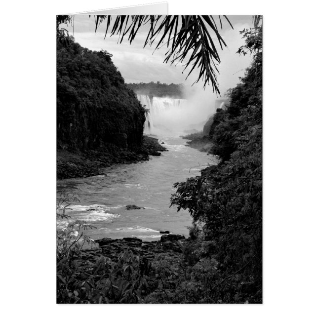 Schat in de Oerwoud (Voorkant)