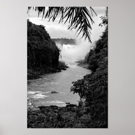 Schat in de Oerwoud Poster (Voorkant)