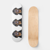 Schatbord met rottweiler skateboard (Voorkant)