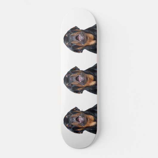 Schatbord met rottweiler skateboard (Voorkant)