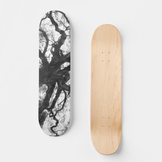 Schatbord voor eikenbomen persoonlijk skateboard (Voorkant)