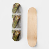 Schatbord voor identificatie van schildpadden skateboard (Voorkant)